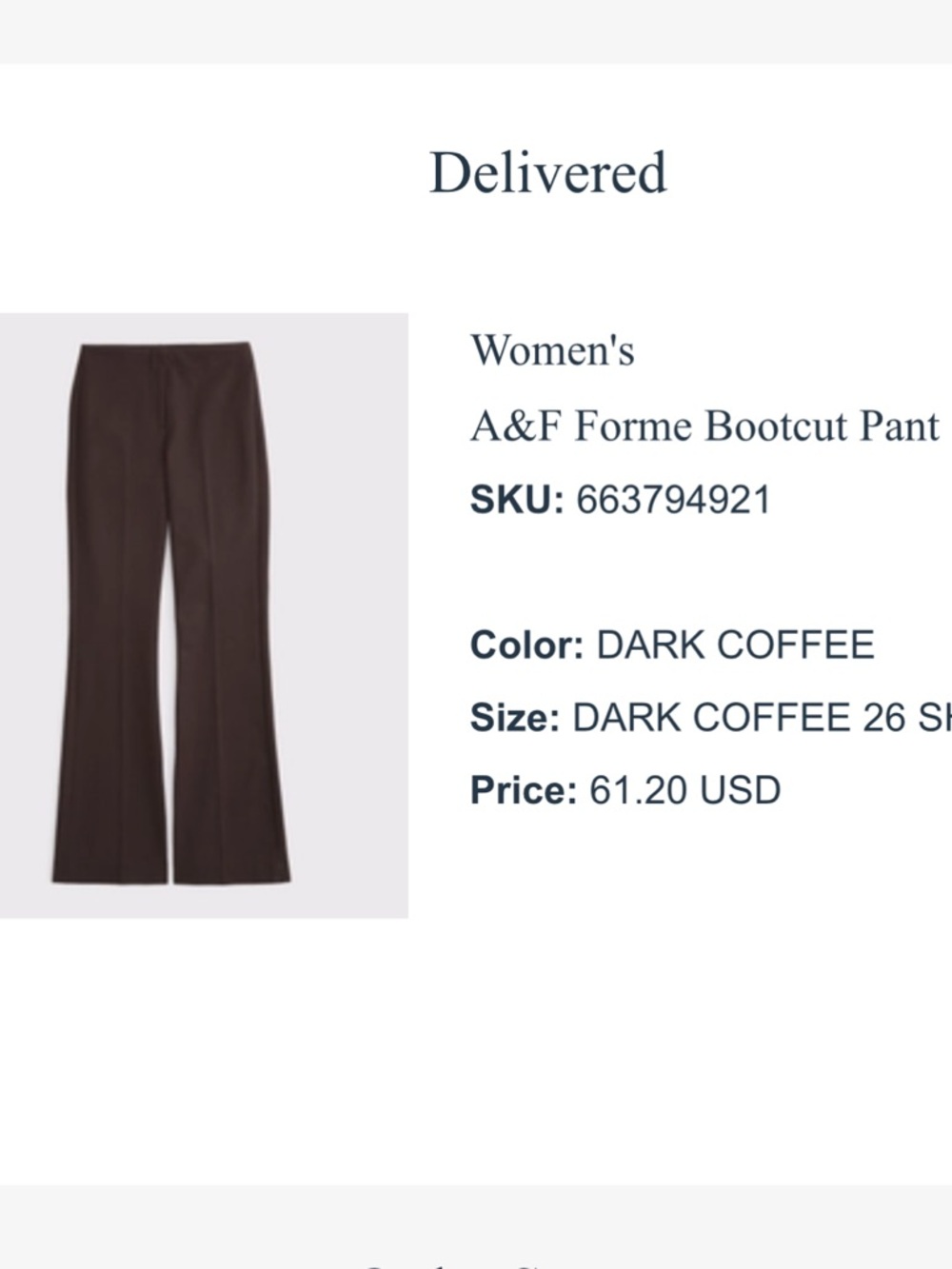 Abercrombie & Fitch Dark Coffee Bootcut Pants